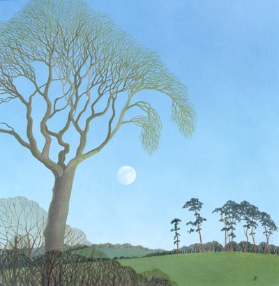 Première lune, 2007 - Anna Phillips