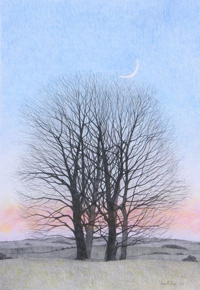 Nouvelle lune, 2011 - Anna Phillips