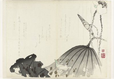 Feuille de lotus (Album Shijo-surimono de la période 1840-1900) - Anonymous