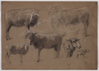 Études de moutons, seconde moitié des années 1800 - Anton Mauve