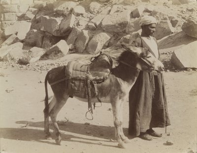 Bourier et Bouriquer, Égypte - Antonio Beato