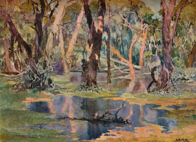 Quindanning Pool, vers 1927 - Archibald Bertram Webb