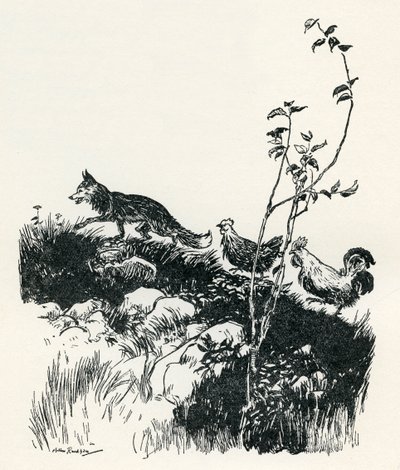 Henny-Penny - Arthur Rackham