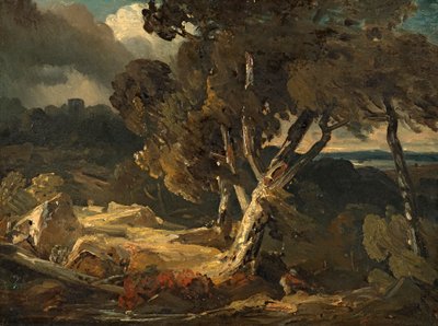 Paysage de tempête - August Seidel