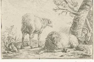 Deux moutons et une chèvre - Barend Graat