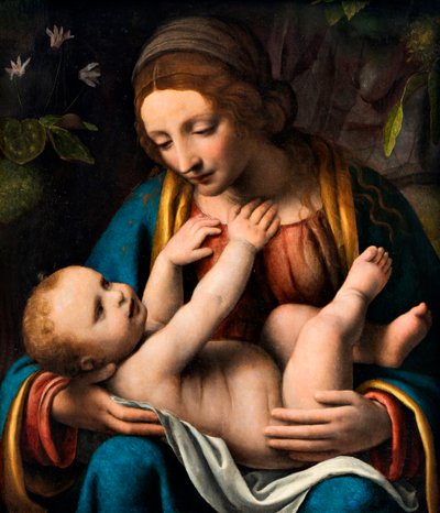 Madone et Enfant, 1515-1523 - Bernardino Luini