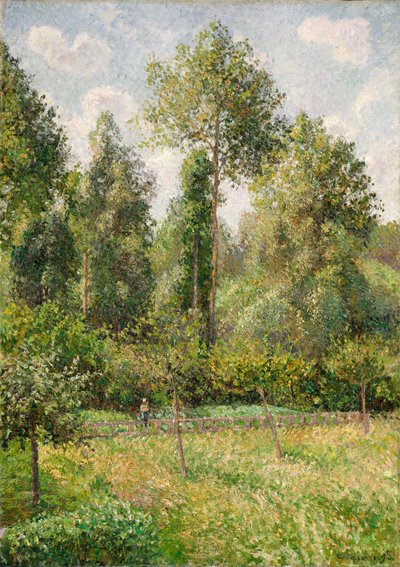 Peupliers, Éragny - Camille Jacob Pissarro