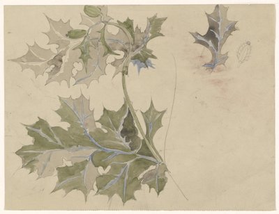 Feuilles de chardon - Carel Adolph Lion Cachet