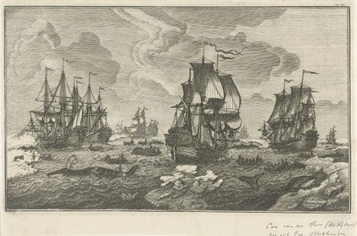 Chasseurs de baleines - Carel van der Hem