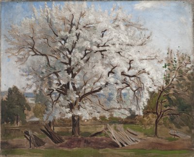 Pommier en fleurs - Carl Fredrik Hill