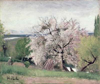 Arbre fruitier en fleur, Bois-le-Roi - Carl Fredrik Hill