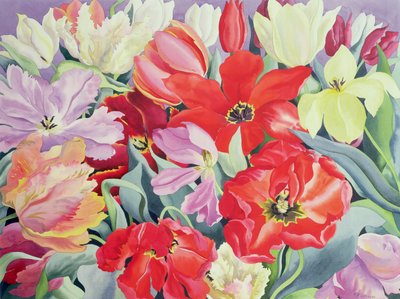 Tulipes en masse, 2003 - Christopher Ryland