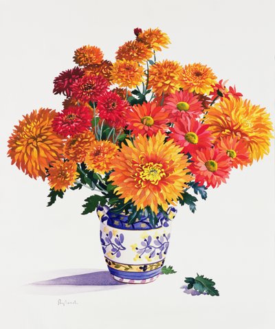 Chrysanthèmes d