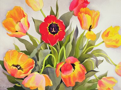 Tulipes orange et rouges - Christopher Ryland