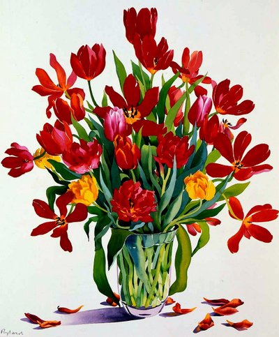 Tulipes - Christopher Ryland