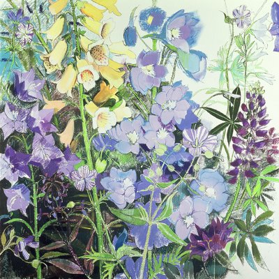 Delphiniums et digitales - Claire Spencer