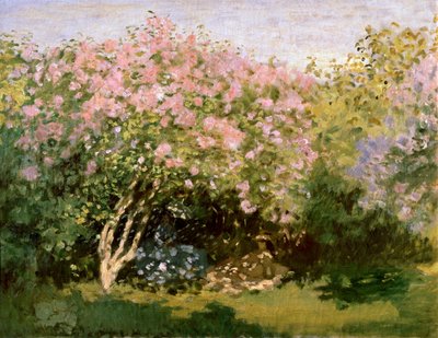 Lilas au soleil - Claude Monet