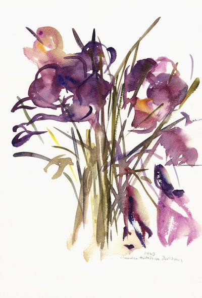 Crocus, 2003 - Claudia Hutchins Puechavy