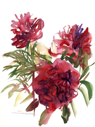 Pivoines, 2002 - Claudia Hutchins Puechavy