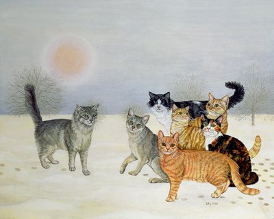 Chats en hiver - Ditz