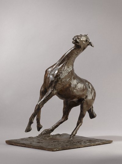 Cheval cabré, modelé vers 1870, coulé 1919-21 - Edgar Degas