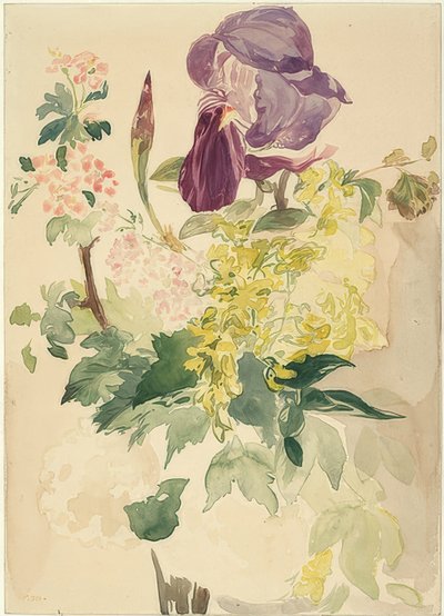 Bouquet avec iris, cytise et géranium - Édouard Manet