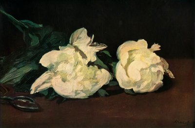 Pivoines blanches, 1864, 1937 - Édouard Manet