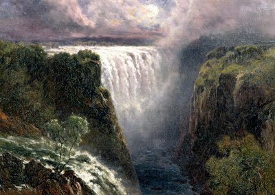 Vue des Chutes Victoria - Edward Henry Holder