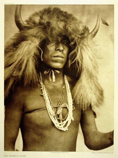 Masque de bison Sia - Edward Sheriff Curtis