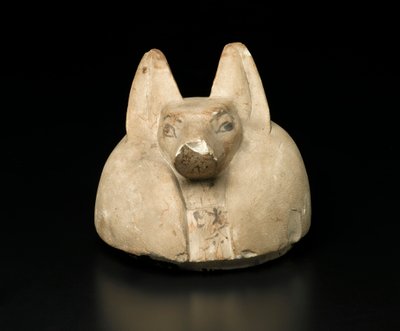 Couvercle de vase canope à tête de chacal - Egyptian