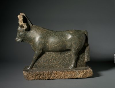 Taureau Apis, 400-100 av. J.-C. - Egyptian Ptolemaic Period