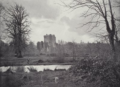 Château de Blarney - English Photographer