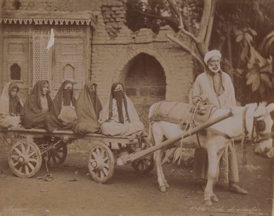 Chariot tiré par des chevaux, Le Caire, 1893 - English Photographer