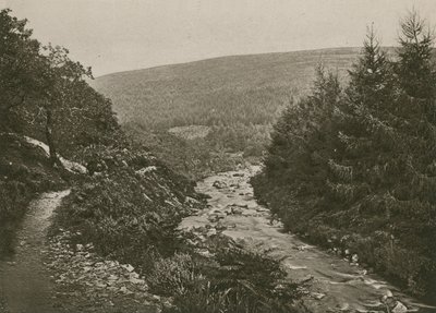 Sentier par Bagworthy Water, vallée de Doone - English Photographer