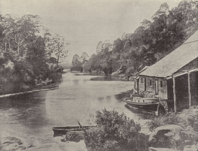 Rivière Supply, Tasmanie - English Photographer