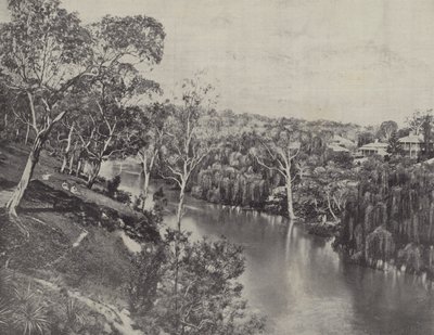 La Yarra à Studley Park - English Photographer