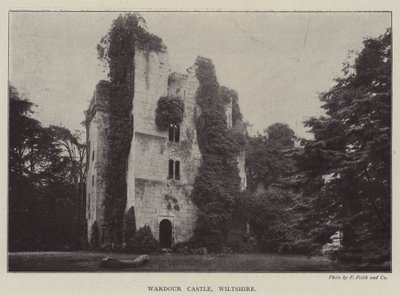 Château de Wardour, Wiltshire - English Photographer