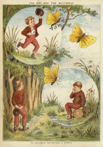 Le garçon et le papillon (chromolithographie) - English School