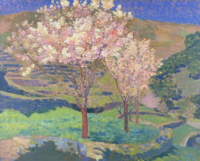 Arbres en fleurs avec terrasses - Ernest Yarrow Jones