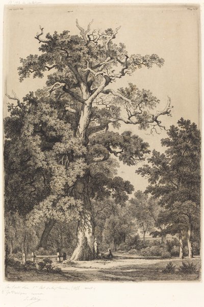 Chêne ancien dans le Bois de Boulogne - Eugene Bléry