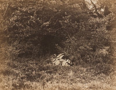 Un rocher dans la forêt - Eugène Cuvelier