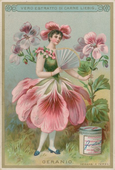 Fille aux Fleurs de Géranium - European School