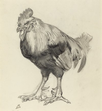 Le Vieux Coq - Felix Bracquemond