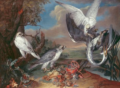 Faucons gyr de Groenland - Ferdinand Phillip de Hamilton