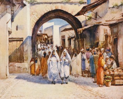 Souk el Hout, Tunis - Frances Nesbitt