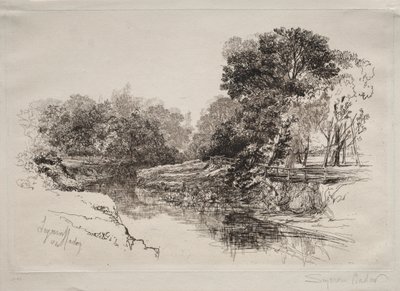 Une rivière en Irlande - Francis Seymour Haden