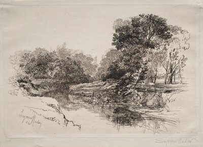 Une rivière en Irlande, 1864 - Francis Seymour Haden