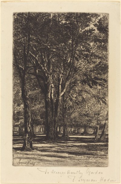 Kensington Gardens (La Grande Planche) - Francis Seymour Haden