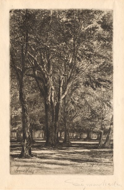 Jardins de Kensington, n° 2 (grande planche) - Francis Seymour Haden