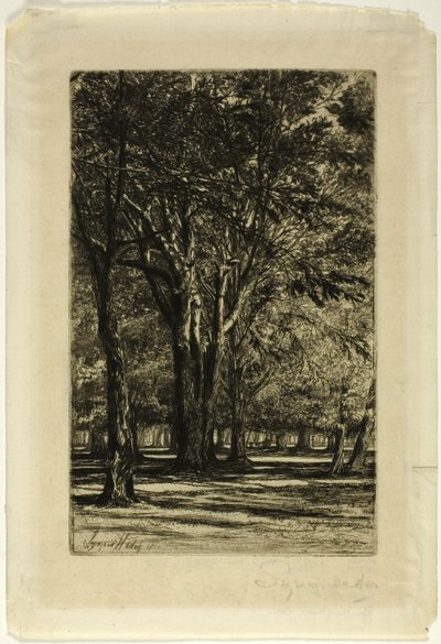 Jardins de Kensington, No. II (grande planche) - Francis Seymour Haden